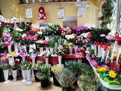 "Kwiaciarnia" Jadwiga Skowrońska